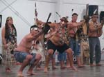 PB115162