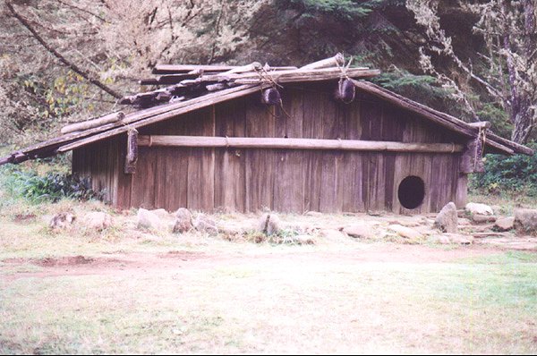 6-sumeg1